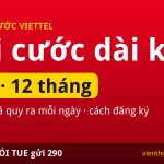 Gói cước dài kỳ Viettel 3, 6, 12 tháng: 29 gói, giá quy ra mỗi ngày, soạn MÃ GÓI TUE gửi 290